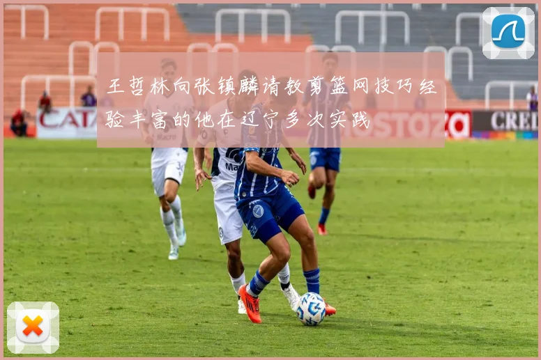 王哲林向张镇麟请教剪篮网技巧经验丰富的他在辽宁多次实践