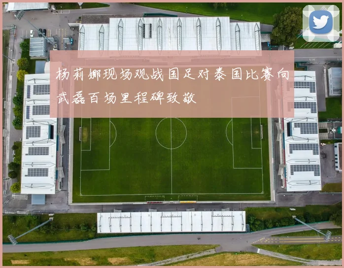 杨莉娜现场观战国足对泰国比赛向武磊百场里程碑致敬